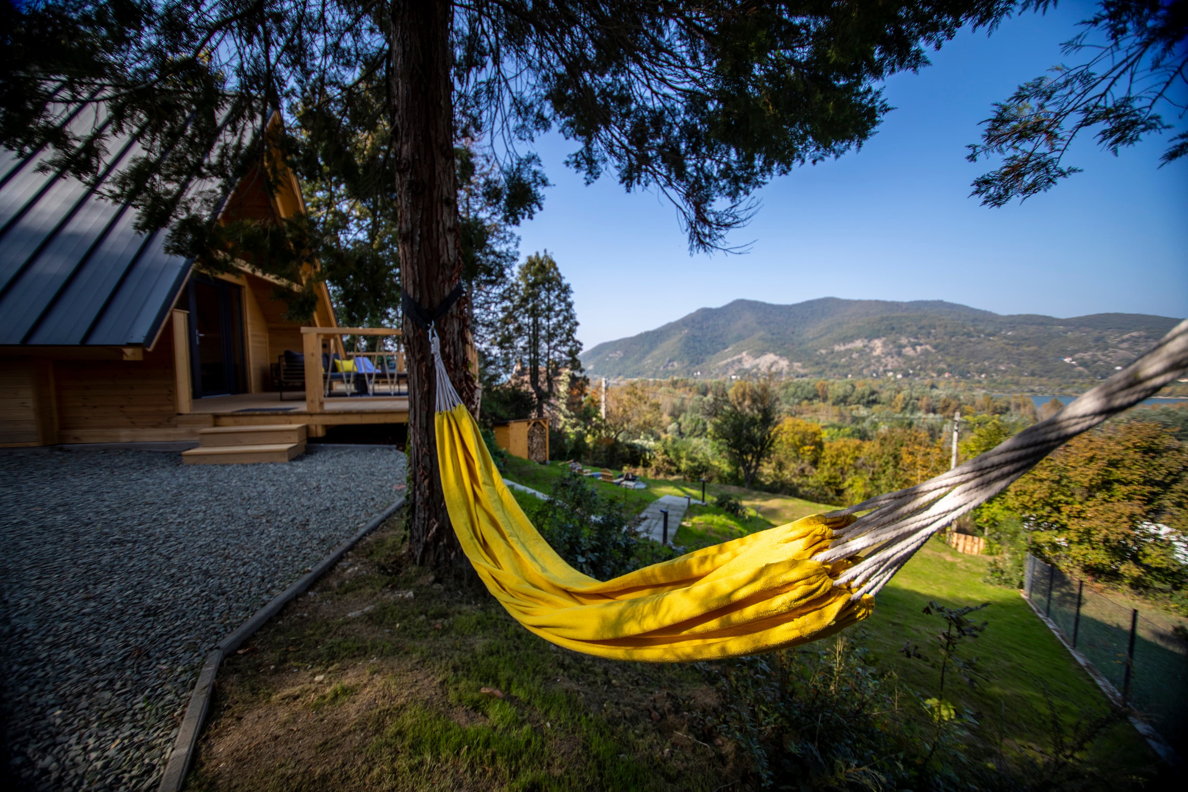 Függőágy a fenyők között